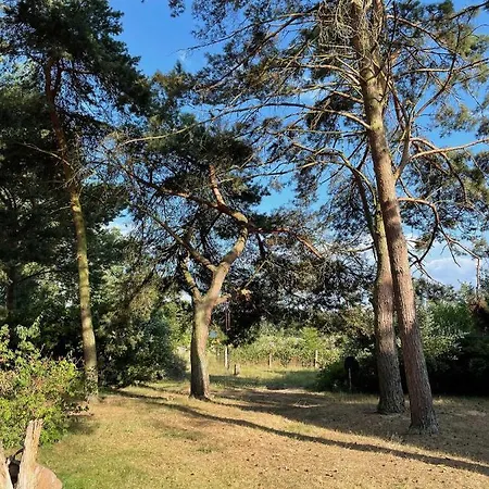 Reetdachhaus Inselkate *